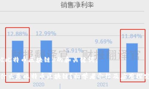 《比特币区块链》的和关键词：

什么是比特币区块链？初学者介绍及应用探究