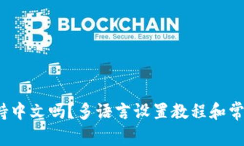 Metamask 支持中文吗？多语言设置教程和常见问题解决方法