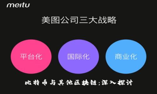 比特币与其他区块链：深入探讨