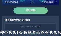   比特币存在哪个钱包？全面解析比特