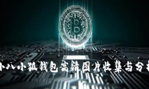 小八小狐钱包高清图片收集与分析