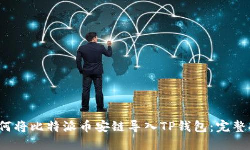  如何将比特派币安链导入TP钱包：完整指南