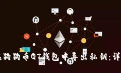如何在狗狗币QT钱包中导出私钥：详尽