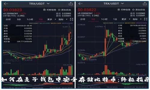 如何在麦子钱包中安全存储比特币:终极指南
