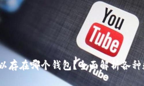 20链USDT可以存在哪个钱包？全面解析各种数字钱包选择