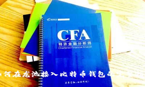 如何在龙池接入比特币钱包的完整指南