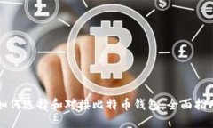 如何选择和对接比特币钱包：全面指南