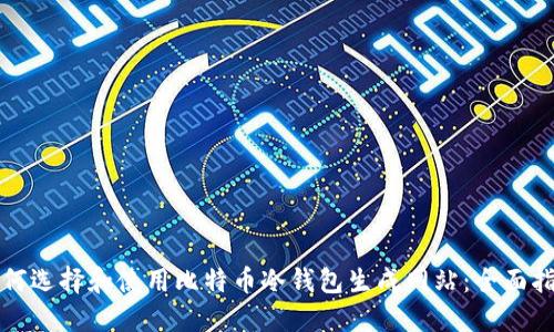 如何选择和使用比特币冷钱包生成网站：全面指南