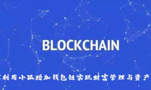 如何利用小狐增加钱包链实现财富管理与资产增值