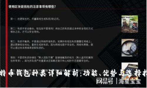 比特币钱包种类详细解析:功能、优势与选择指南