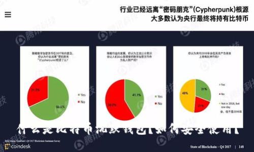 什么是比特币沉默钱包?如何安全使用?