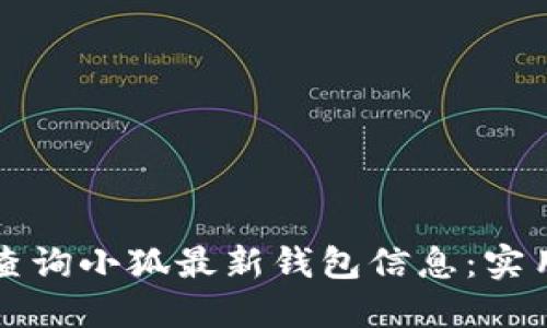 如何查询小狐最新钱包信息:实用指南