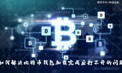 如何解决比特币钱包加载完成后打不开