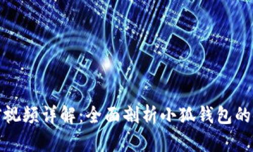 小狐钱包质押币提前视频详解:全面剖析小狐钱包的使用功能与投资策略
