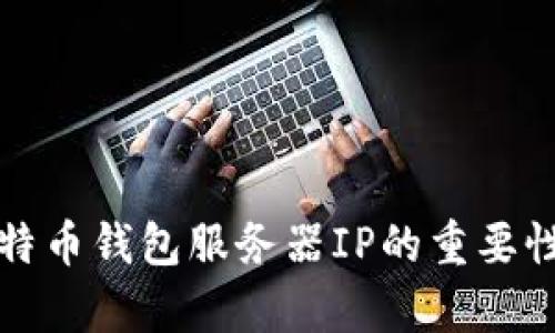 全面解析比特币钱包服务器IP的重要性与选择指南