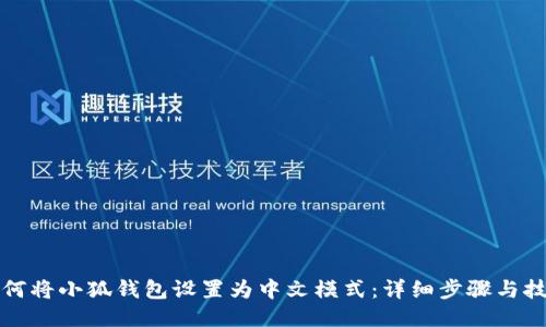 如何将小狐钱包设置为中文模式:详细步骤与技巧