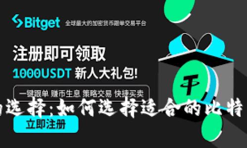 比特币钱包的选择:如何选择适合的比特币数据库钱包