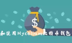 如何下载和使用Mycelium比特币钱包：全