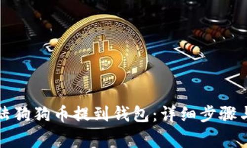 如何将大陆狗狗币提到钱包:详细步骤与注意事项