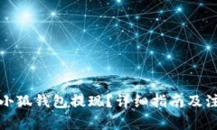 如何从小狐钱包提现？详细指南及注意