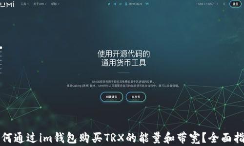 如何通过im钱包购买TRX的能量和带宽?全面指南