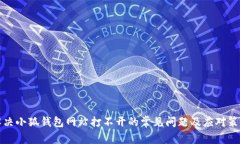 解决小狐钱包网站打不开的常见问题及