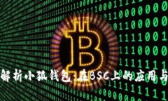 全面解析小狐钱包：在BSC上的应用与优
