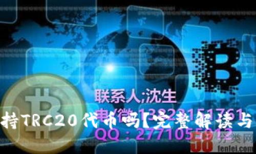 MetaMask支持TRC20代币吗?完整解读与最佳替代方案