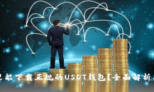 在哪里能下载正规的USDT钱包?全面解析与推荐