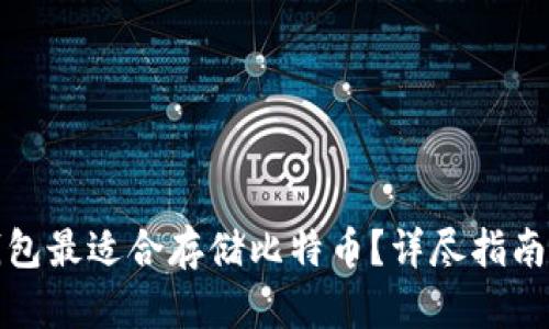哪种钱包最适合存储比特币?详尽指南与对比