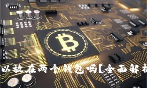 USDT地址可以放在两个钱包吗?全面解析与使用指南