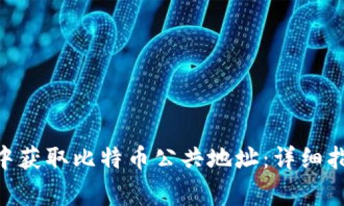 如何在MetaMask中获取比特币公共地址:详细指南与常见问题解答