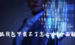 Metamask小狐钱包下载不了怎么办？全面