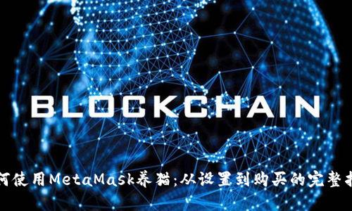 如何使用MetaMask养猫:从设置到购买的完整指南