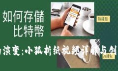钱包的演变：小狐折纸视频详解与创意