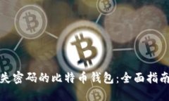 如何找回丢失密码的比特币钱包：全面