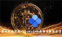 国内无法下载MetaMask的原因与解决方案