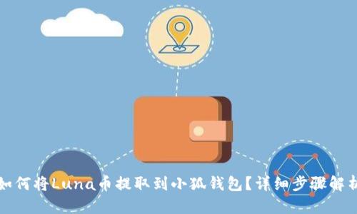 如何将Luna币提取到小狐钱包?详细步骤解析