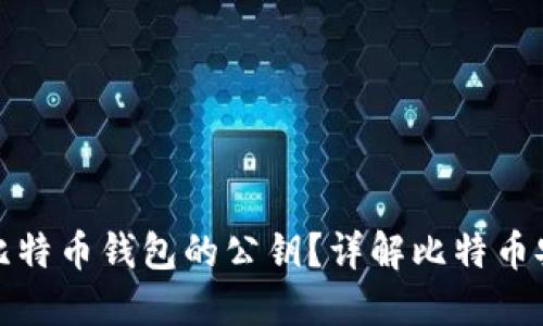 如何找到比特币钱包的公钥?详解比特币安全与管理