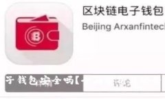 比特币电子钱包安全吗？全面解析与安