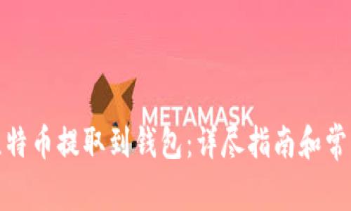 : 如何将比特币提取到钱包:详尽指南和常见问题解答