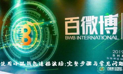 如何使用小狐钱包连接波场:完整步骤与常见问题解析