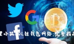 如何正确配置小狐SOL链钱包网络：完整