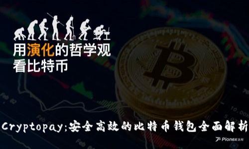 Cryptopay:安全高效的比特币钱包全面解析