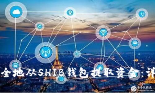 如何安全地从SHIB钱包提取资金:详细指南