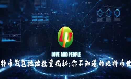 比特币钱包地址数量揭秘:你不知道的比特币世界