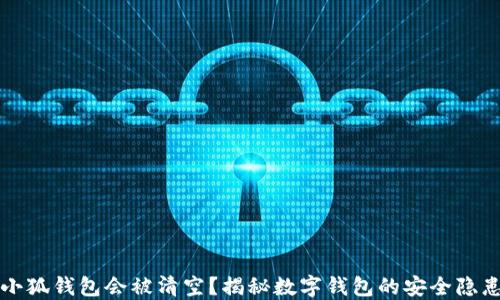 为什么小狐钱包会被清空?揭秘数字钱包的安全隐患和建议