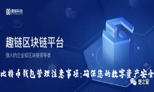比特币钱包管理注意事项:确保您的数字资产安全