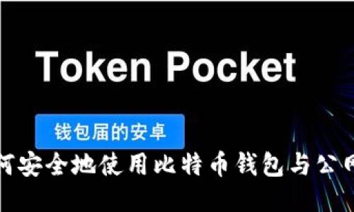 如何安全地使用比特币钱包与公网IP
