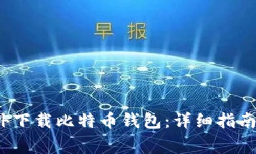 如何在国外下载比特币钱包:详细指南与注意事项
